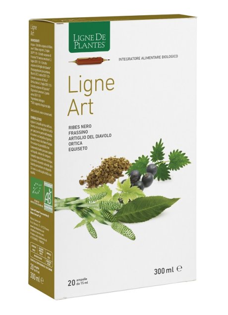 LIGNE ART BIO 20 AMPOLLE 15ML