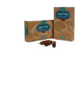 LIGNE NUIT BIO 20 AMPOLLE 15ML