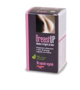 BREAST UP 90 CAPSULE