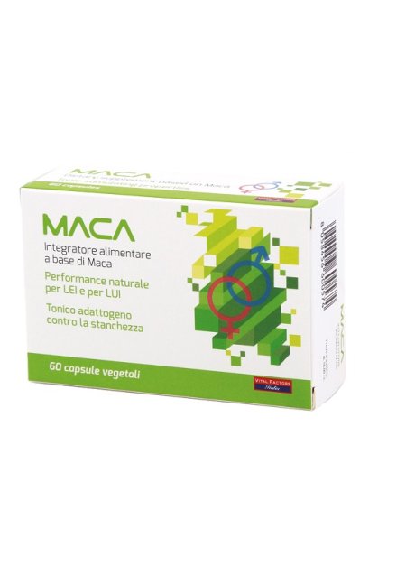 MACA 60CPS