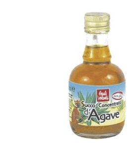 SUCCO CONC AGAVE 250ML