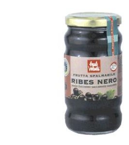 FRUTTA SPALMAB RIBES NERO 280G