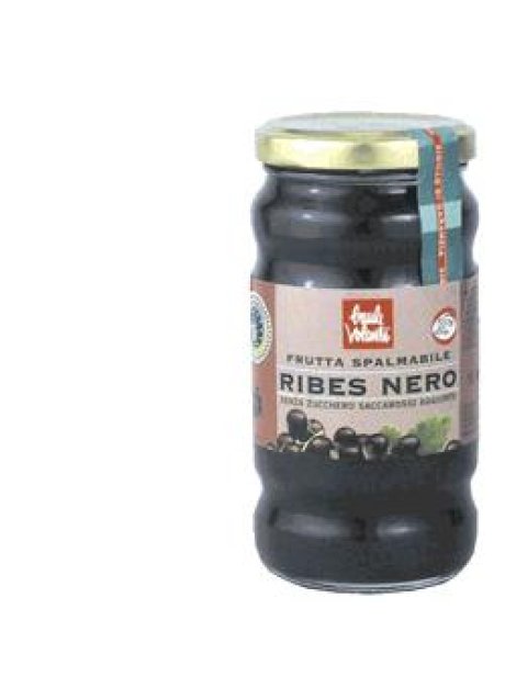 FRUTTA SPALMAB RIBES NERO 280G