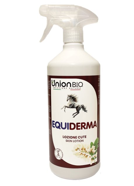 EQUIDERMA LOZ RIGEN CUTE 1L