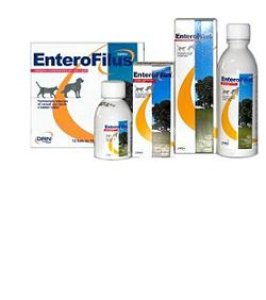 ENTEROFILUS 12X10ML