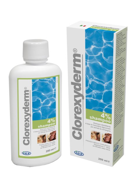 CLOREXYDERM SH 4% 250ML