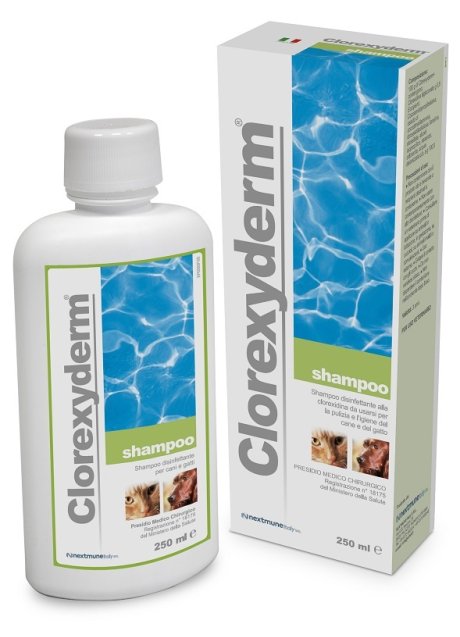 CLOREXYDERM SHAMPOO 250 ML