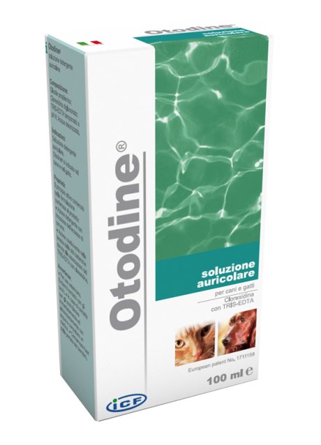OTODINE DET LIQ 100ML