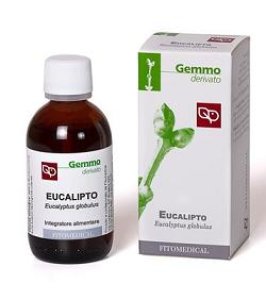 EUCALIPTO 100ML MG
