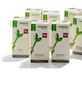 MIRTO 100ML MG FTM