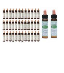 AINSWORTHS FLOWER REMEDY SET40