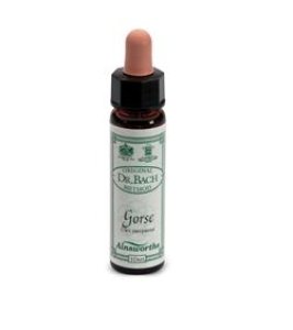 AINSWORTHS GORSE 10ML