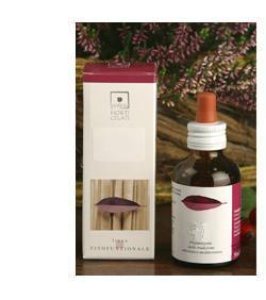 ALNUS GLUTINOSA 50ML STV
