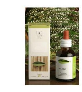 AGNO CASTO 50ML STV