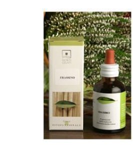 OLIVO BIO 50ML STV