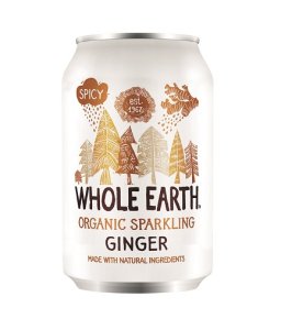 BIO GINGER S/ZUCCHERO 330ML