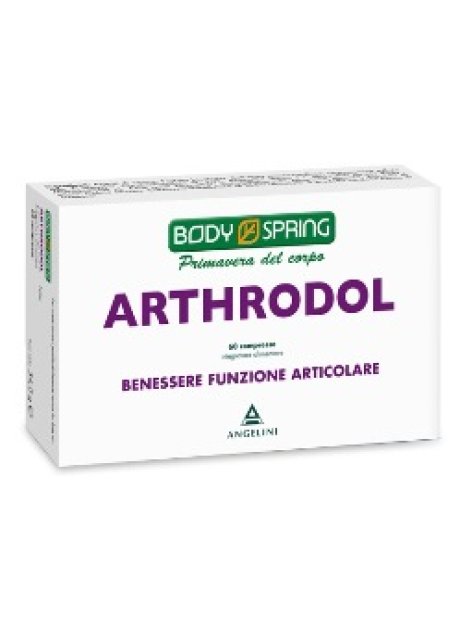 BS ARTHRODOL 60CPR BSP