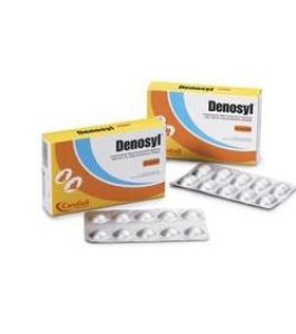 DENOSYL 10CPR 90MG