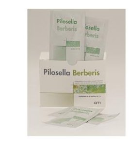 PILOSELLA BERBERIS 30BUS OTI
