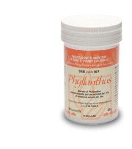 PHYLLANTHUS 60TAV DABUR 007