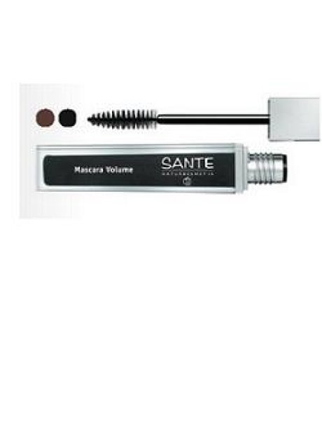 SANTE MASCARA CLASS VOL 02 BRW