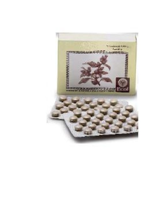 CIMICIFUGA 50TAV 500MG
