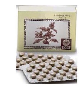 ECHINACEA 50TAV 812
