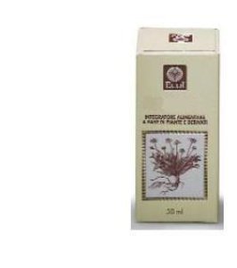FICO GEMME ESTR ANALCO 50ML