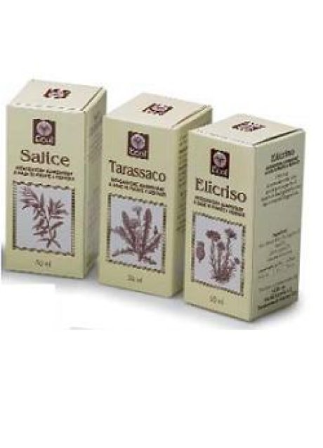 OLIO GERME GRANO 100ML 501 "EC