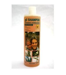 SHAMPOO NORM ANTIFORF GRAS 1LT