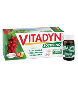VITADYN SOSTEGNO 10 FLACONCINI 10 ML