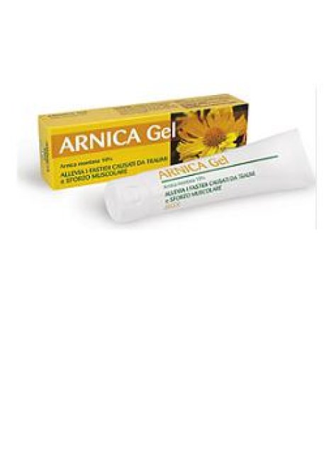 ARNICA 10% GEL FORTE 60ML