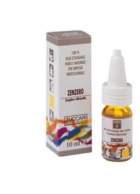 OLIO ESS NAT ZENZERO 5ML