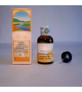 FIGEM GEMMO COMPLEX