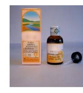 RIGEM 50ML GTT