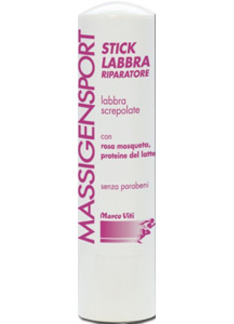 MASSIGENSPORT STICK RIPARATORE