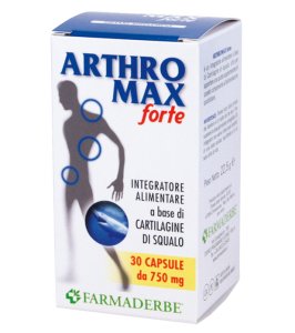 ARTHROMAX FORTE 30CPS