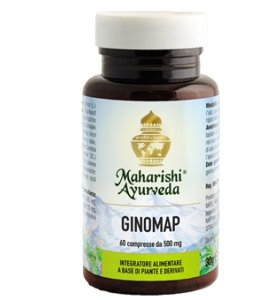 GINOMAP 60TAV MAP