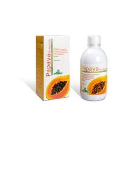 PAPAYA FERMENTATA 500ML SPECCH