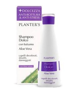 PLANTERS SH DOLCE ALOE VERA