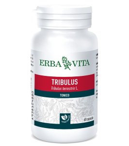 TRIBULUS TER 60CPS 500MG EBV