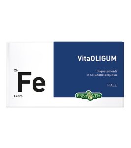VITAOLIGUM FERRO 20F EBV
