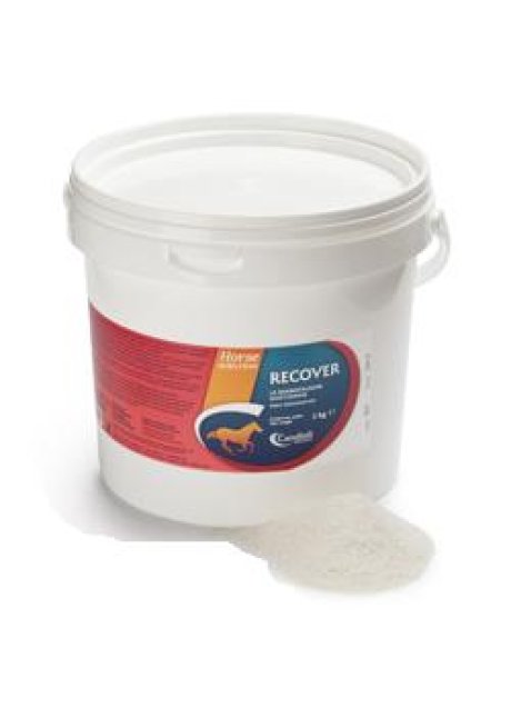 RECOVER REIDRATANTE CAV 3KG