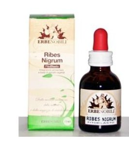 FITOBLASTO RIBES NIGRUM 50ML