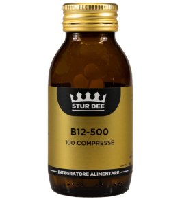 B12/500 100TAV STUR DEE
