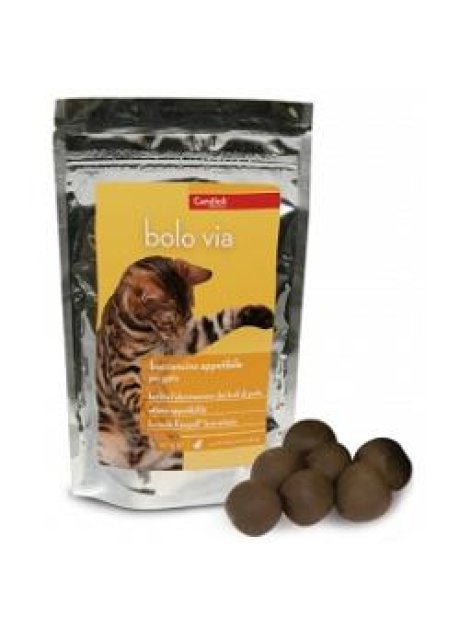 BOLO VIA BUSTA 40G