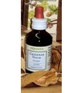 CASTANEA VESCA GEMME GEMMODER
