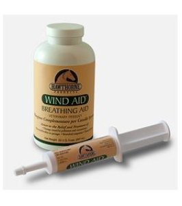 WIND AID SCIROPPO 947ML