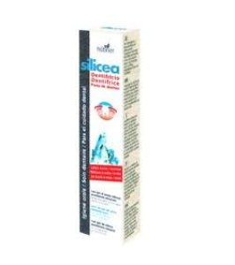 HUBNER DENTIF SILIC S/MENTA50G