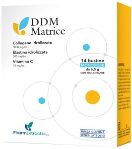 DDM MATRICE 14 BUSTINE